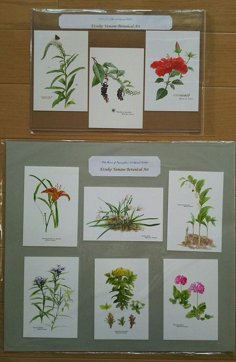 ট ইট র Etsubota 山根悦子 ボタニカルアート 植物絵本原画展 個展に向けて準備中 楽しんで貰えるといな ギャラリーコンセプト21 表参道a1出口 より徒歩 5分 今月5 25 木 31 水 11時 18時 最終日15時まで T Co I8fzt1hn4e T Co Pie7xki3mv ট ইট র Etsubota 山根悦子 ボタニカルアート 植物絵本原画展 個展に向けて準備中 楽しんで貰えるといな ギャラリーコンセプト21 表参道a1出口 より徒歩 5分 今月5 25 木 31 水 11時 18時 最終日15時まで T Co I8fzt1hn4e T Co Pie7xki3mv