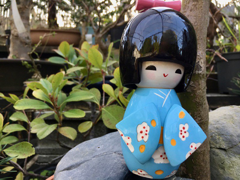 nipponearcom's tweet photo. .#Kokeshi en el jardín. #kokeshiDoll #muñecas #japonesas #japon #colección #kimono #azul #sakura #flores #artesanía #madera #hadcraft https://t.co/p4norbBXHG