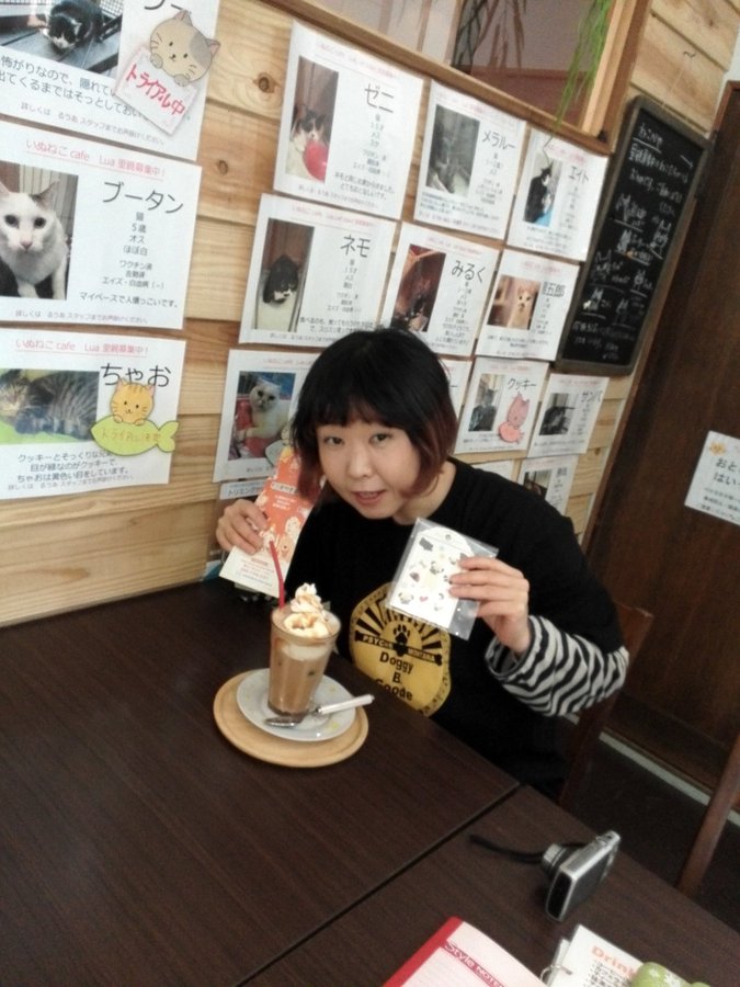 東京都内 エリア別 保護猫カフェ おすすめ6選 保護犬 保護猫の里親探しならワンニャイフ