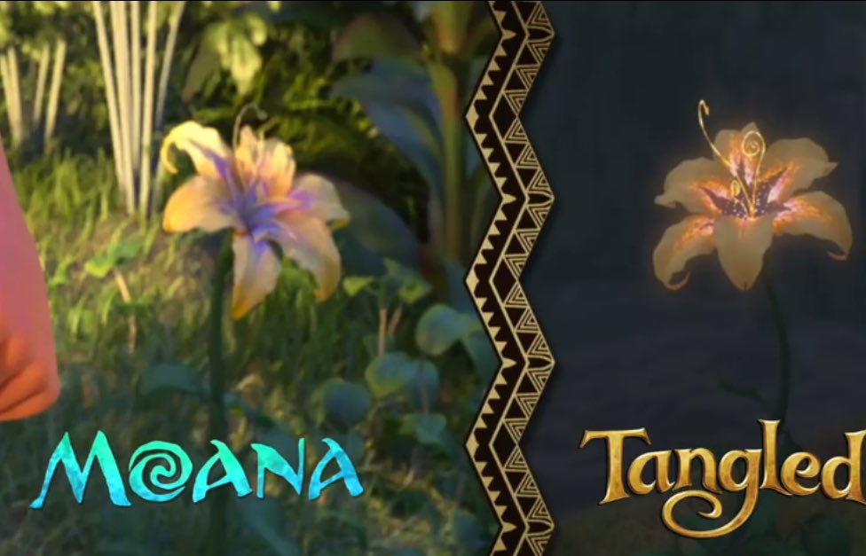 Magic Flower Tangled