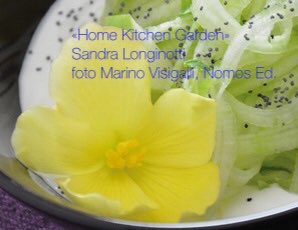 s_longinotti's tweet photo. Il gusto dei fiori eduli di begonia cambia  a seconda del colore / una ricetta dal mio libro "Home Kitchen Garden" 

https://t.co/zm2hUXuUbX https://t.co/7sDPSspYl9