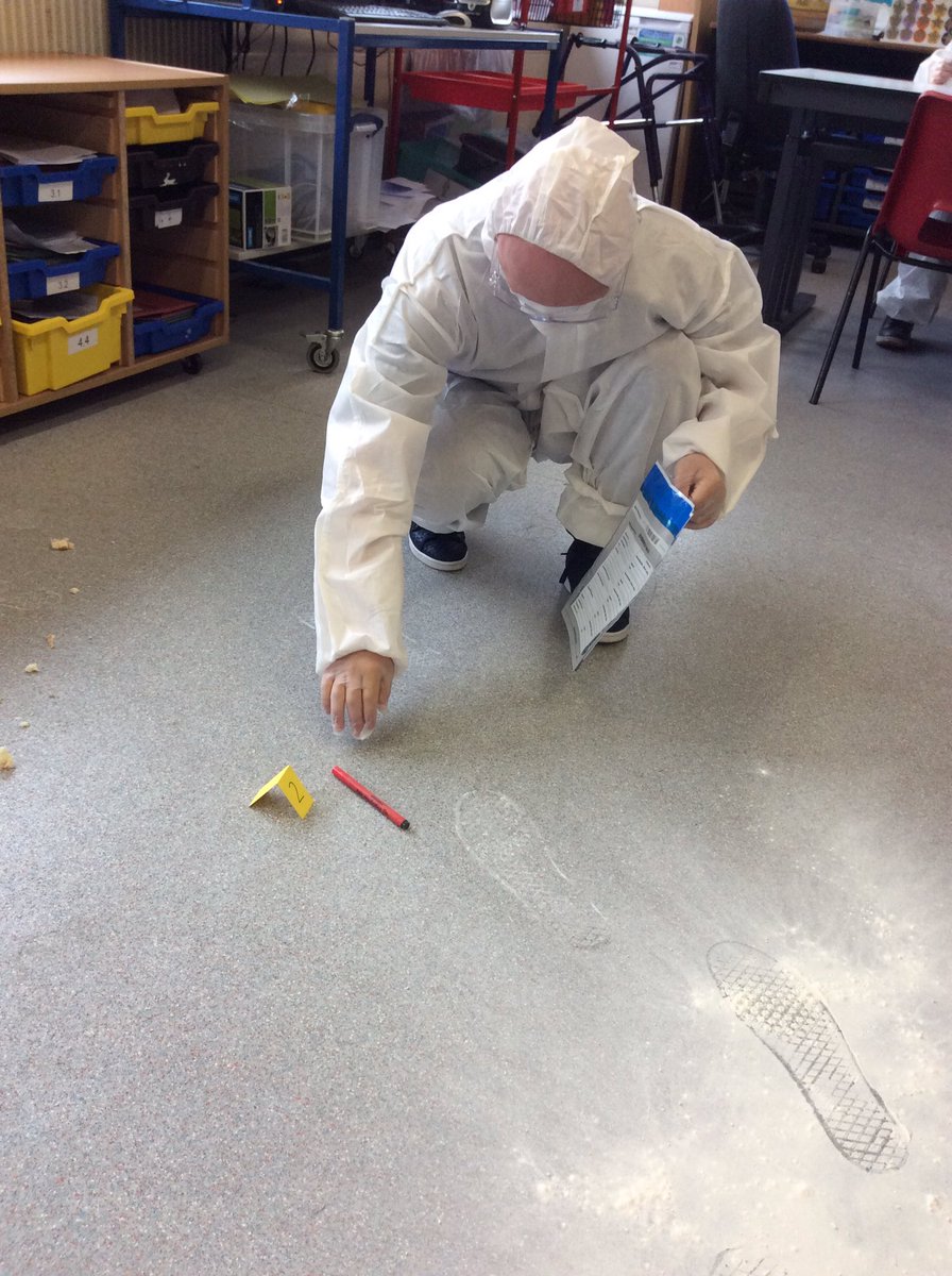 wilsonstfeed's tweet photo. Can #wsdarwin solve the crime? #wsscience 🕵🏽 https://t.co/7zyVoR5C7e