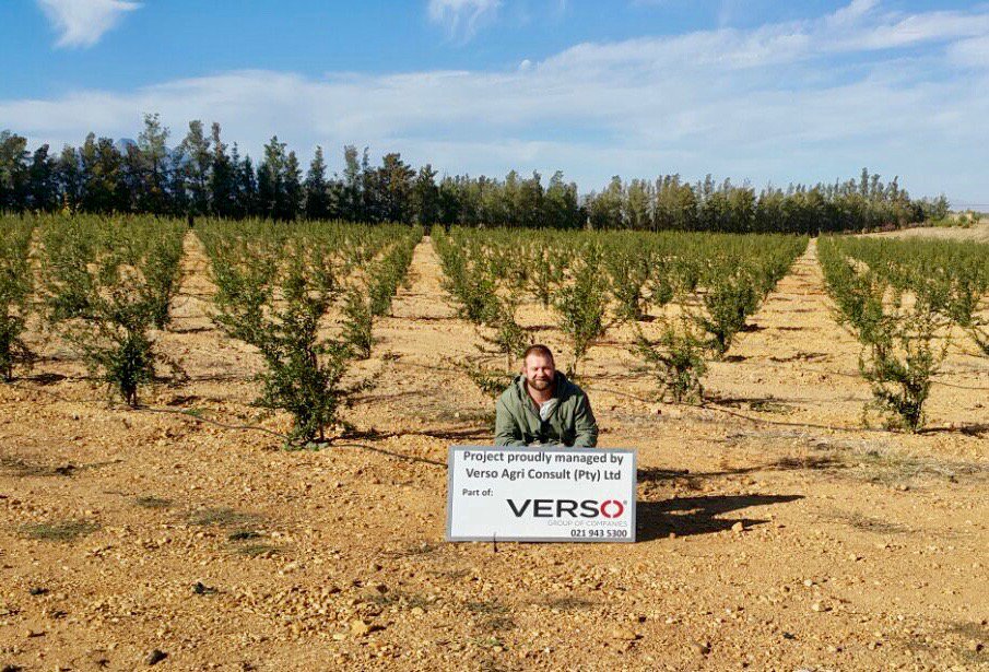 verso_group's tweet photo. A new project being managed by #VersoAgriConsult. Pictured project consultant, Jorrie Mulder, among the newly planted #pomegranate trees. https://t.co/cBS1E4IOYw