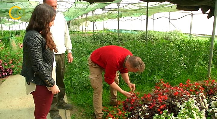 VÍDEO: Nuestros reportajes en #CuadernoAgrario84, miel de azahar <a href="/COAGANDALUCIA/">COAG ANDALUCIA</a>, <a href="/FITAC2017/">FITAC FITAC</a>  o flores comestibles cuadernoagrario.com/?p=6760
