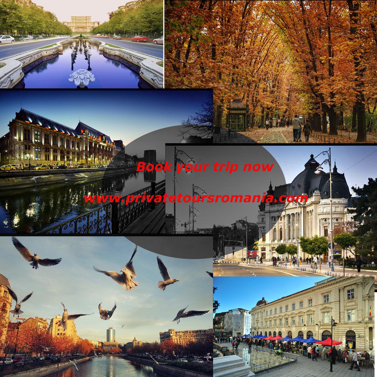 Romanian_Tours's tweet photo. Discover Romania and its secrets with our tours :)
https://t.co/jzaV1VYV0k
#privatetours #travel #holiday #amazingplaces #vacation #Romania https://t.co/iGh1Y9hynC