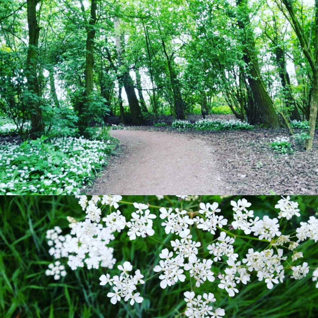 MariamMassage's tweet photo. Ik begin mijn werkweek met een uurtje wandelen in de natuur. Ontspannen en vitaliseren werkt goed. Durf jij dat ook? #gunnen  #kruisinagenda https://t.co/crUiV2B15h