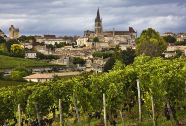 Colleen_Ashley2's tweet image. Quote from the owner of #chateauchampion regarding the frost and it devastating the vines 'what can you do? It is nature' #St Emillion