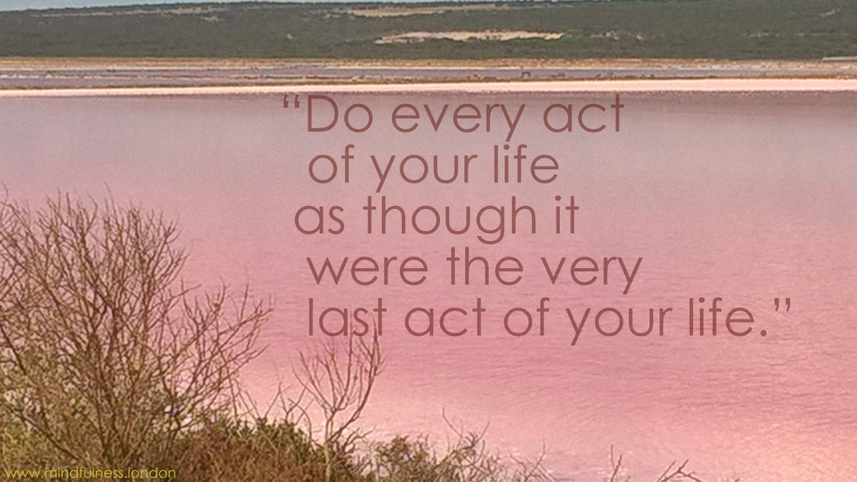 MindfulnessLondon tweet media