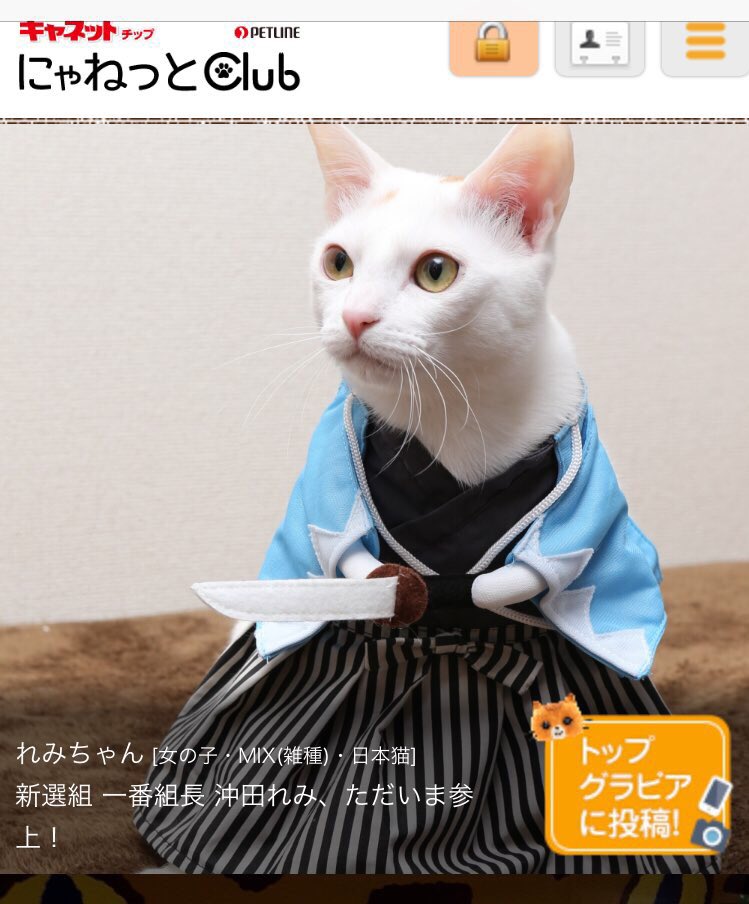 にゃねっとクラブ Twitter Search