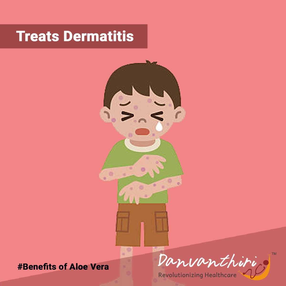 Danvanthiri's tweet photo. Health Benefits of Aloe Vera 
#HealthBenefits #Aloevera #Danvanthiri https://t.co/yAVIEZG3Vh
