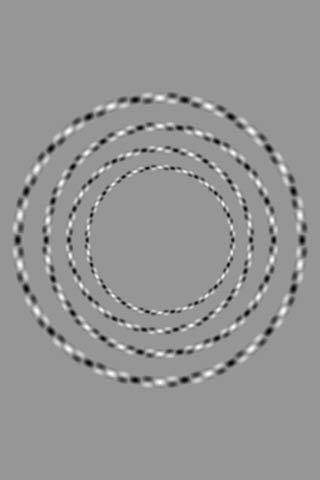 Know's tweet photo. There are only 4 circles in this picture, and none of them touch. https://t.co/u2WP2dHcnq