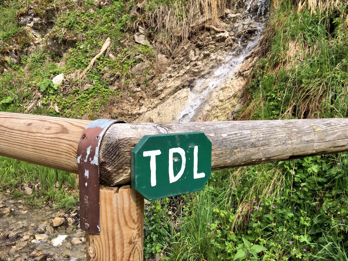 per4piedi's tweet photo. Scatti in punta di piedi (di capra), dal #trail de le #Longane, ieri a Lozzo di Cadore ☺️ #4piedi #iocorroqui @runlovers @GocciadCarnia https://t.co/yR66xKLize