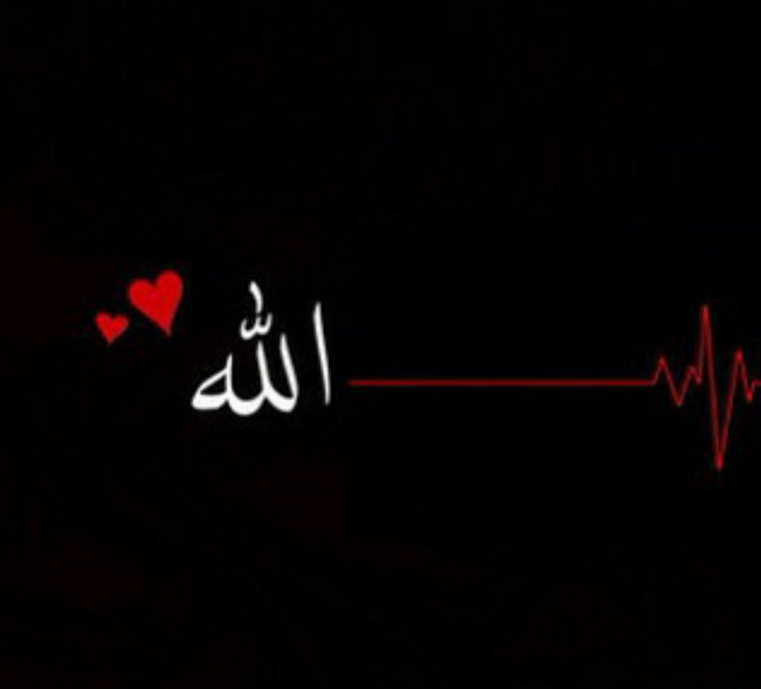 islamicfreedom's tweet photo. i owe every heartbeat to Allah (SWT) https://t.co/zFWnmG5rWY