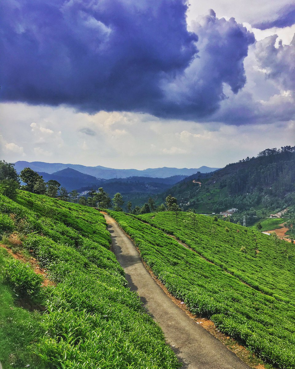 travelmynation's tweet photo. Monsoons are here!!!! #Travel #india #travelmynation #roadtrip #traveler #weekend #holiday #tripoto #triphobo https://t.co/W0DVlWylUT