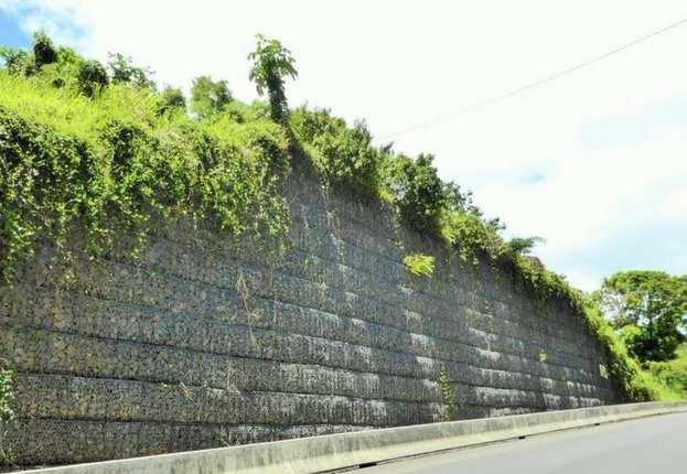 MaccaferriWorld's tweet photo. 2 years after completion, vegetation is established on our #gabion &amp; #ParaGrid #retainingwall in #Guadeloupe https://t.co/PlXqoJyNdI https://t.co/j1HFfso3uF