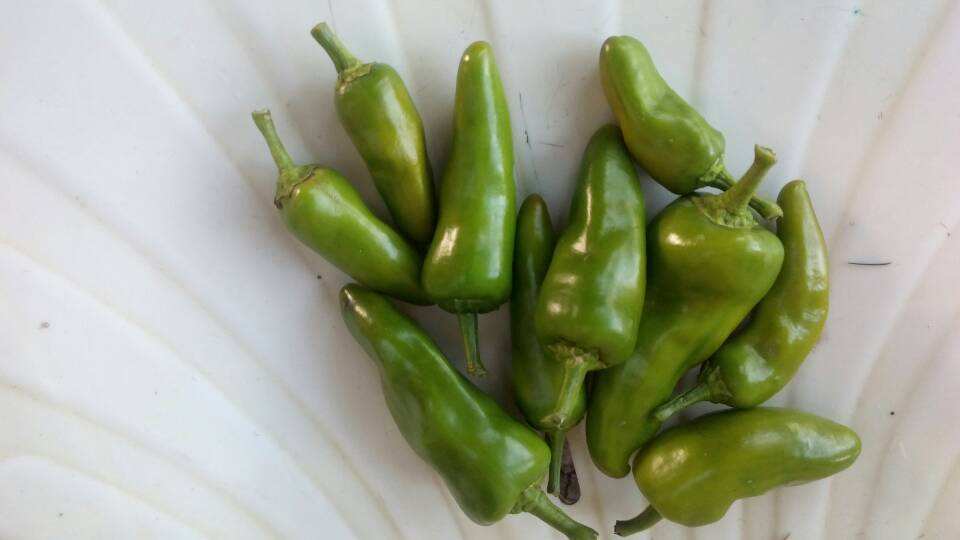 markgrown's tweet image. 