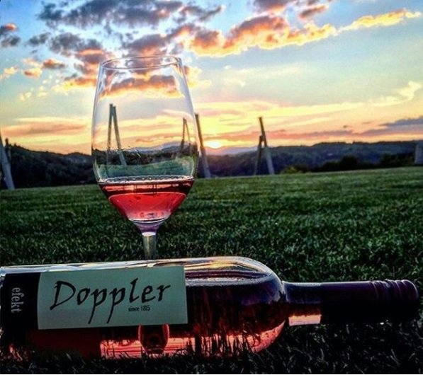 winegram's tweet photo. Doppler wine. From Slovenia.
#winegram #shareyourwine #winetasting #winenot #winelovers #winetime #winemonday #wine #vino #VinoElAmor https://t.co/pwEzU3EtYC