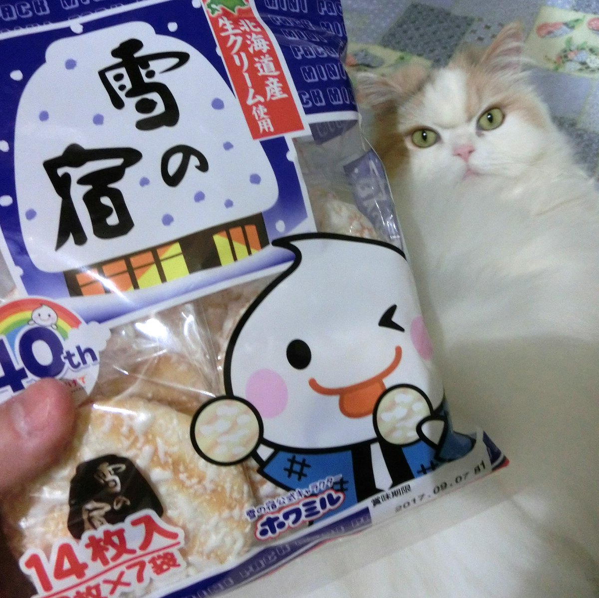 Cmキャラ Cmキャラ