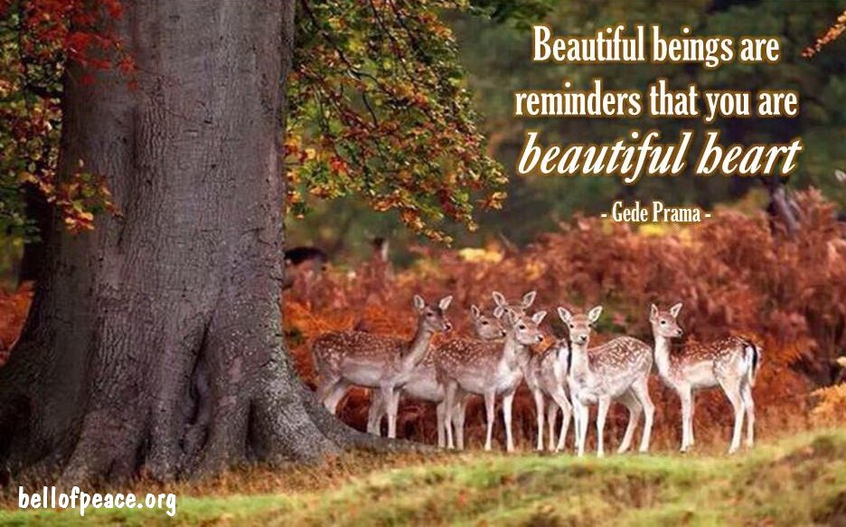 Beautiful beings are reminders...