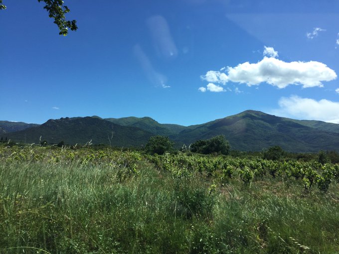 Petite vacances chez les grands-parents #PO #mesmontagnes #fitou #alberts #banyuls #jajadejau https://t<a href="/tag/po"class="tags">#PO</a><a href="/tag/mesmontagnes"class="tags">#mesmontagnes</a><a href="/tag/alberts"class="tags"><span>#alberts</span></a><a href="/tag/fitou"class="tags"><span>#fitou</span></a><a href="/tag/banyuls"class="tags"><span>#banyuls</span></a><a href="/tag/jajadejau"class="tags"><span>#jajadejau</span></a>