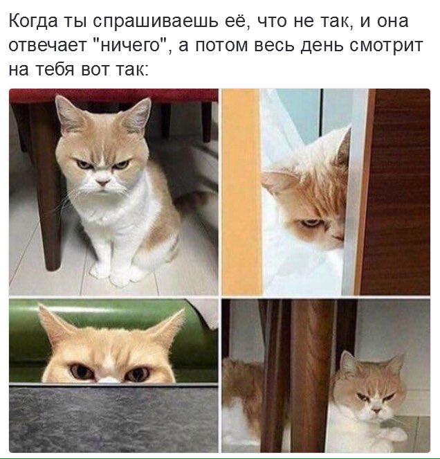 СВЯТАЯ (@svyat___) on Twitter photo 