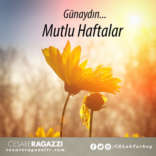 CRLabTurkey's tweet photo. Mutlu ve sağlıklı haftalar dileriz. 
#mutluhaftalar #Pazartesi #Monday #istanbul https://t.co/YseA6arJz9