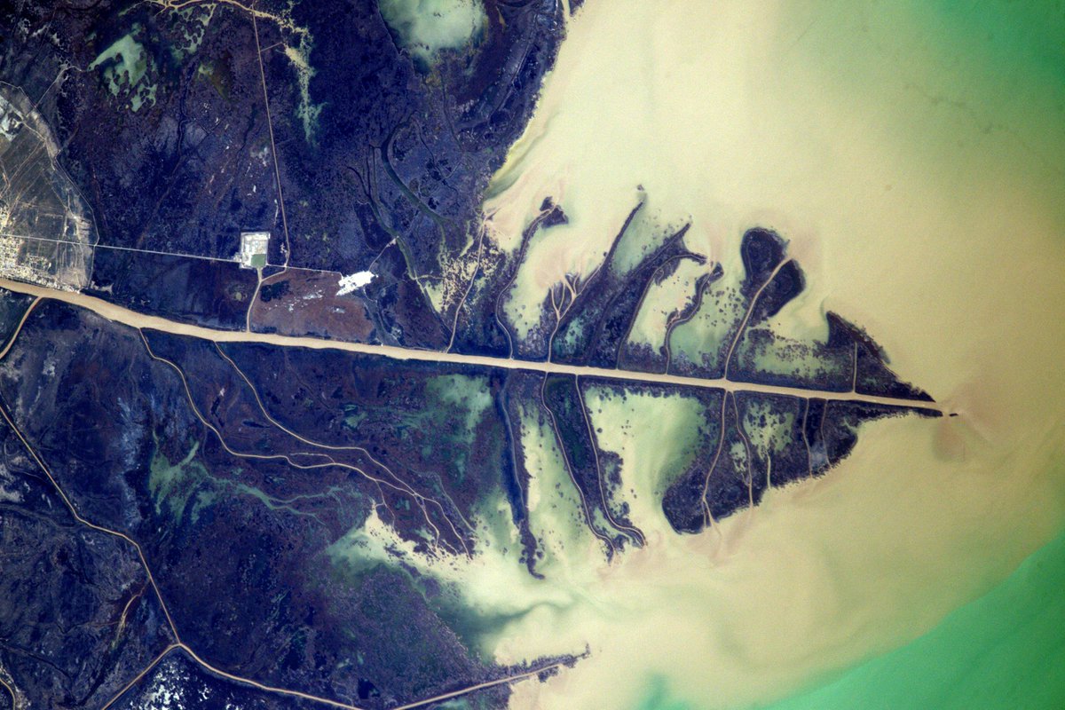 L'embouchure du fleuve Oural, qui se déverse dans la mer Caspienne,  ressemble étrangement aux nervures d'une feuille d'arbre #Kazakhstan, image size:1200x800