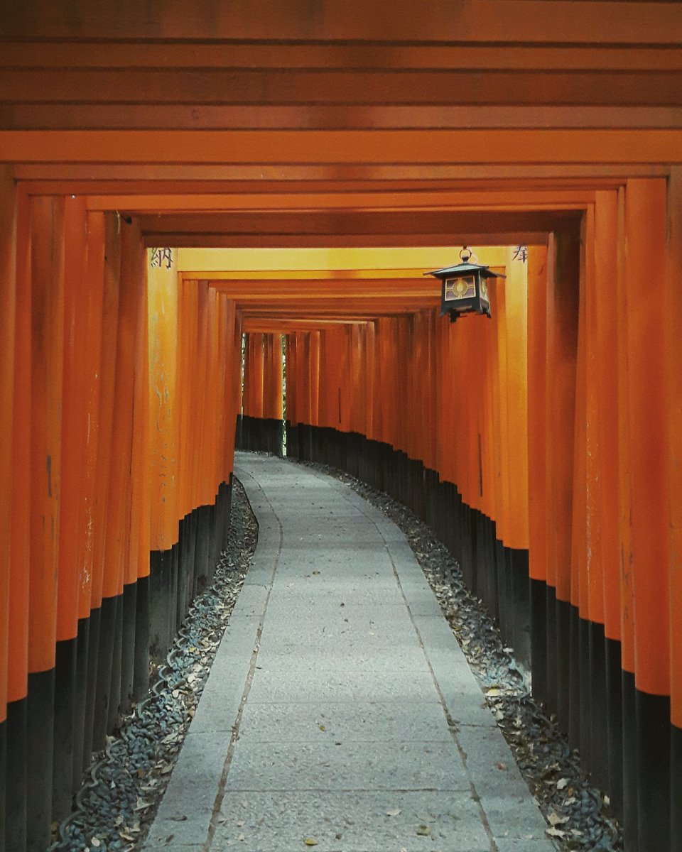 _MichaelDizon's tweet photo. Jetlag has me reminiscing my recent trip to #Japan. Such a beautiful country - full of beauty, tradition, and serenity. I will be back.🗻🍣🏯 https://t.co/GZHYEFP9C3