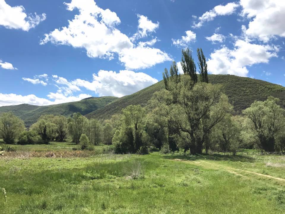 UmbriaTourism's tweet photo. La primavera è esplosa nella sua più raffinata varietà di verde in #Valnerina, con il Nera che brilla sotto il sole! #umbriacuoreverde https://t.co/lM2O76gVCu