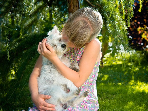 DogzillaPetFood's tweet photo. Encuentran a su perro después de 11 años perdido ¡No te pierdas esta historia! https://t.co/W6ITwYRKad #perros #perroperdido https://t.co/Sy2sqPdTdO
