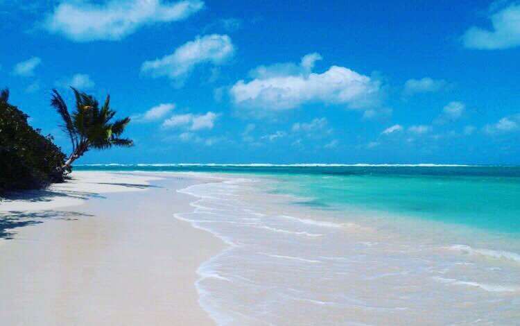 ecclestonsuk's tweet photo. What Monday blues? Today @ecclestonslondon we are treating our eyes to this stunning azure beaches with crystal wh… https://t.co/aeNiDjjiD2 https://t.co/msGr1iBcME