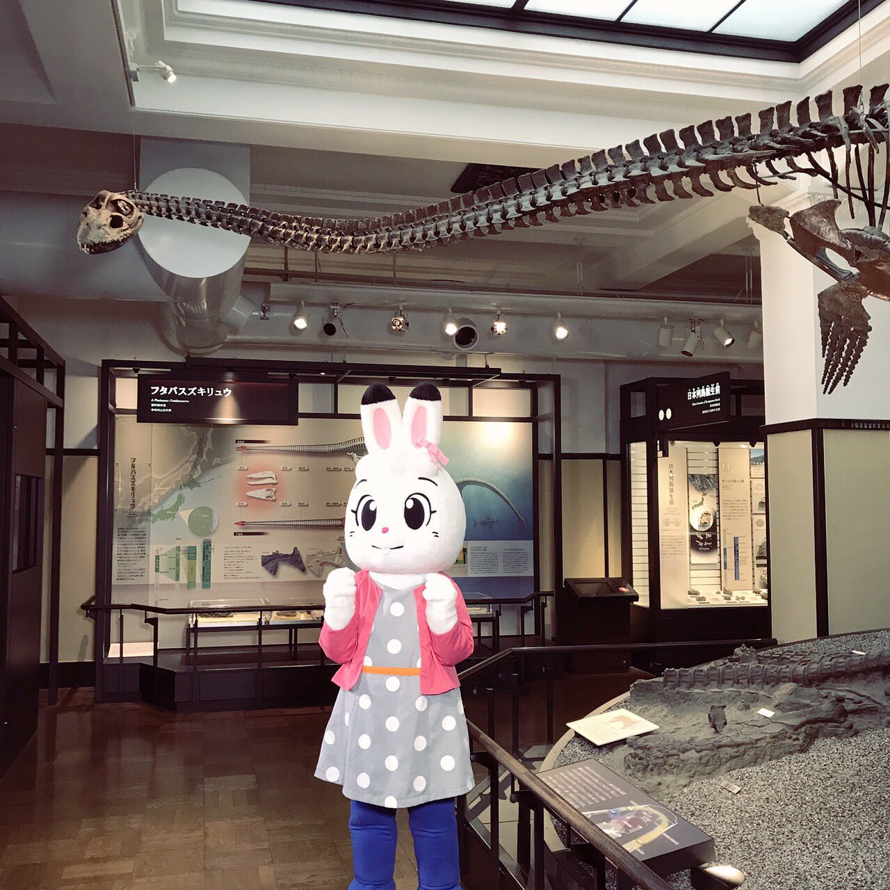 しまじろうのわお 番組スタッフ 今日は国立科学博物館をお借りして新しい歌コーナーの撮影です 恐竜の化石や色々な動物の剥製にスタッフもわお の連続でした しまじろう しまじろうのわお Shimajiro みみりん 国立科学博物館