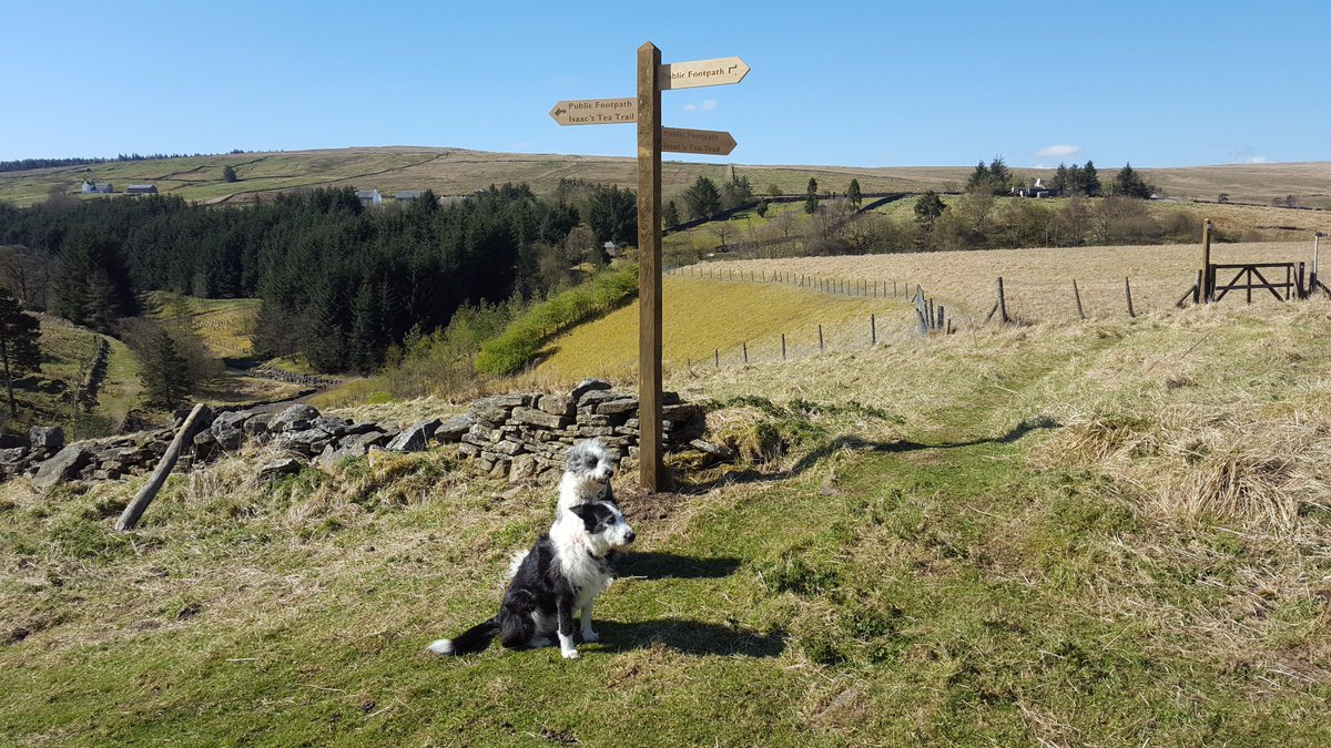 SunriseCumbria's tweet photo. @TheHikersHub @readydoggygo @Hols_Direct #NationalWalkingMonth and @SunriseCumbria has May and June #vacancies! https://t.co/94GC5jPM4Q https://t.co/OpoF8hmvxa