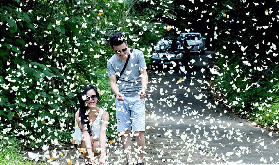 VietnamTypical's tweet photo. Get ready to be overwhelmed by butterflies at this national park in #Vietnam 🦋🦋🦋
See more at: https://t.co/0zYC8lsjP9
#ninhbinh #butterflies https://t.co/Xz8L6RFqfn