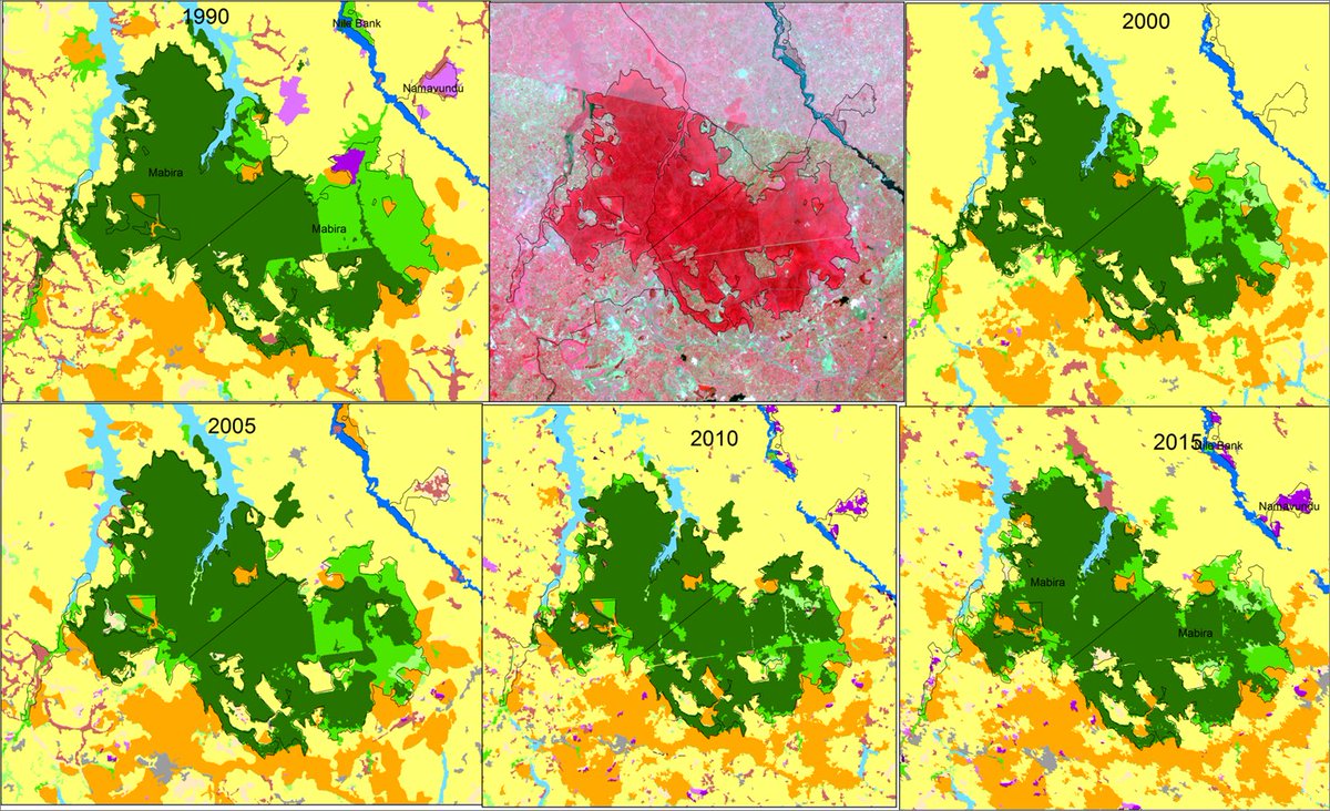 NFAUG's tweet photo. @DCalyne Mabira Central Forest Reserve is still a gazzetted forest &amp; sustainably managed! Check the satellite images of the Mabira #Ugandasforests https://t.co/kSA3rVFnzN