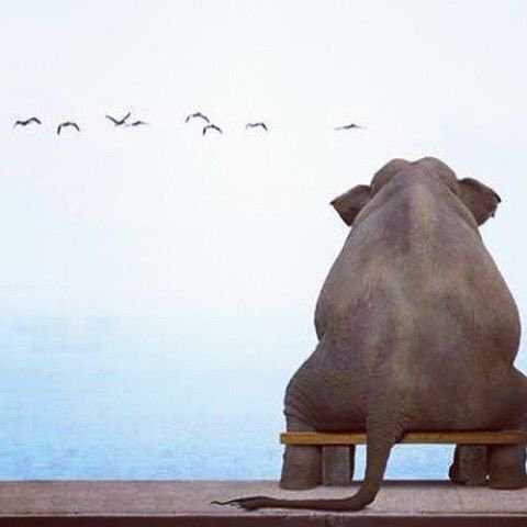 Kitapcumlelerii's tweet photo. Kırıldığın insanlarla arana mesafe koy; hissediyorlarsa yanına geleceklerdir, gelmiyorlarsa doğru mesafeyi buldun demektir... https://t.co/bzdVlAhQsb