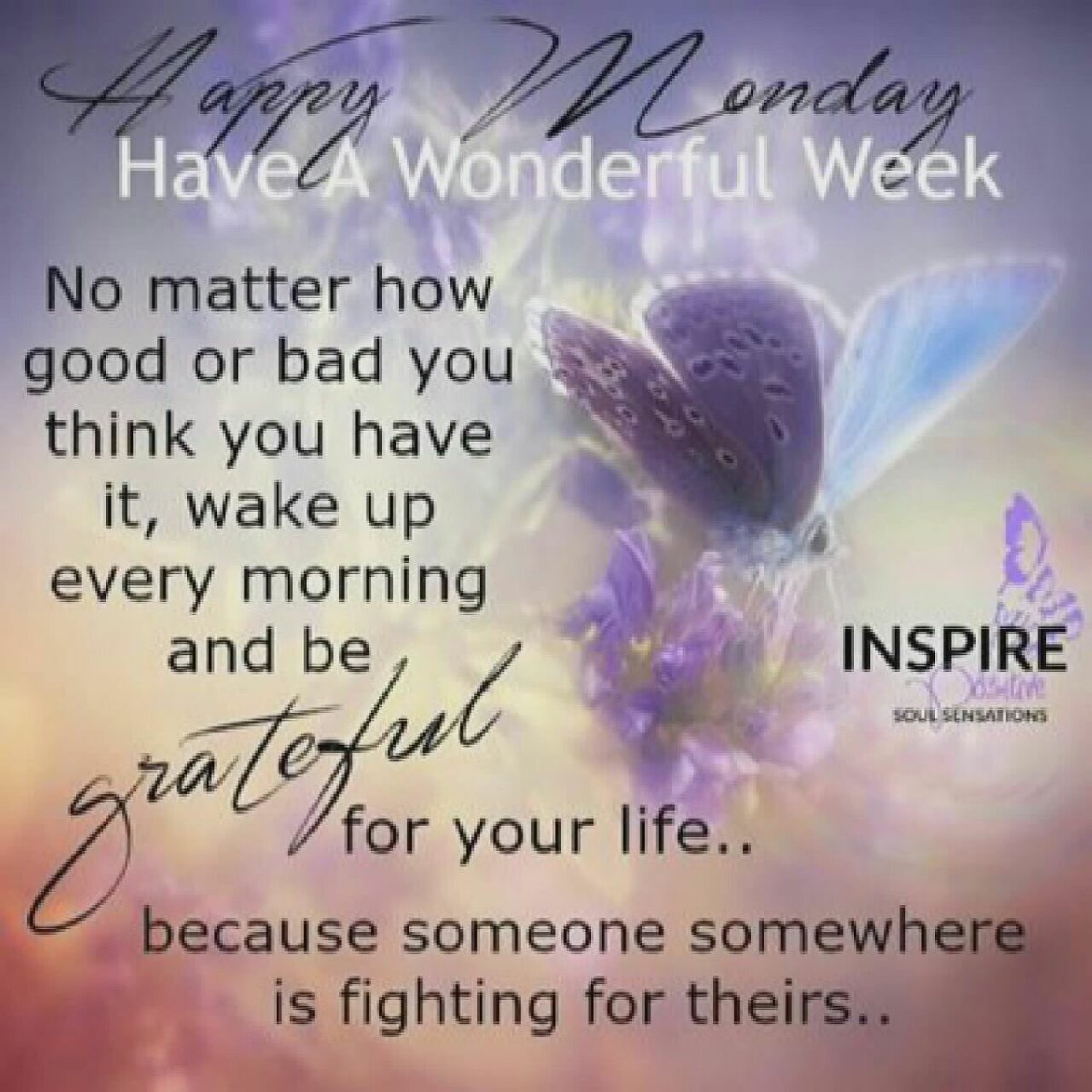 BlackByrd (@blackbyrdza) on Twitter photo 