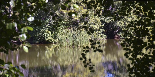 LifeInfonatur's tweet photo. Las regiones europeas serán “clave” para conservar la biodiversidad y reforzar la red Natura 2000 https://t.co/ejbwKSSCky https://t.co/KjEtMzO4A7