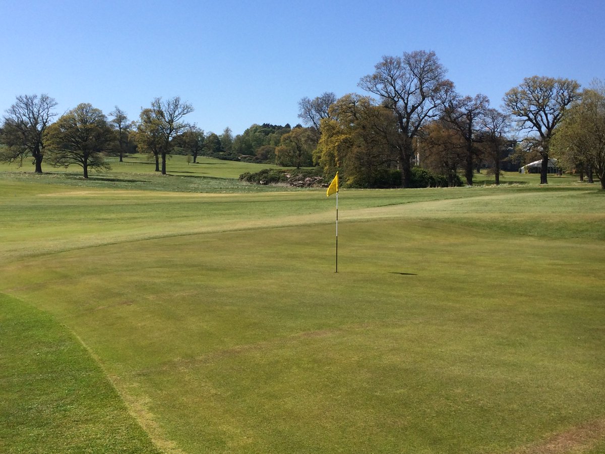 dundasparksgolf's tweet photo. DPGC welcomes Queensferry Care in the Community for a Charity Texas Scramble this afternoon ! #CourseGood #WeatherGood #HappyGolfers https://t.co/tfqd0pRkCN