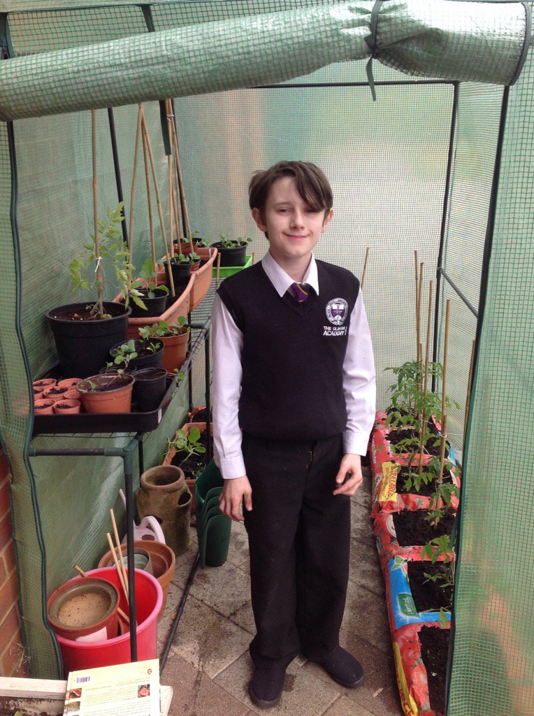 TOANWOODLANDS's tweet photo. Our greenhouse is now home to Tomatoes, Aubergines and Courgettes. Josh has fingers #oldhamacademynorth https://t.co/Ks59sMwHMd
