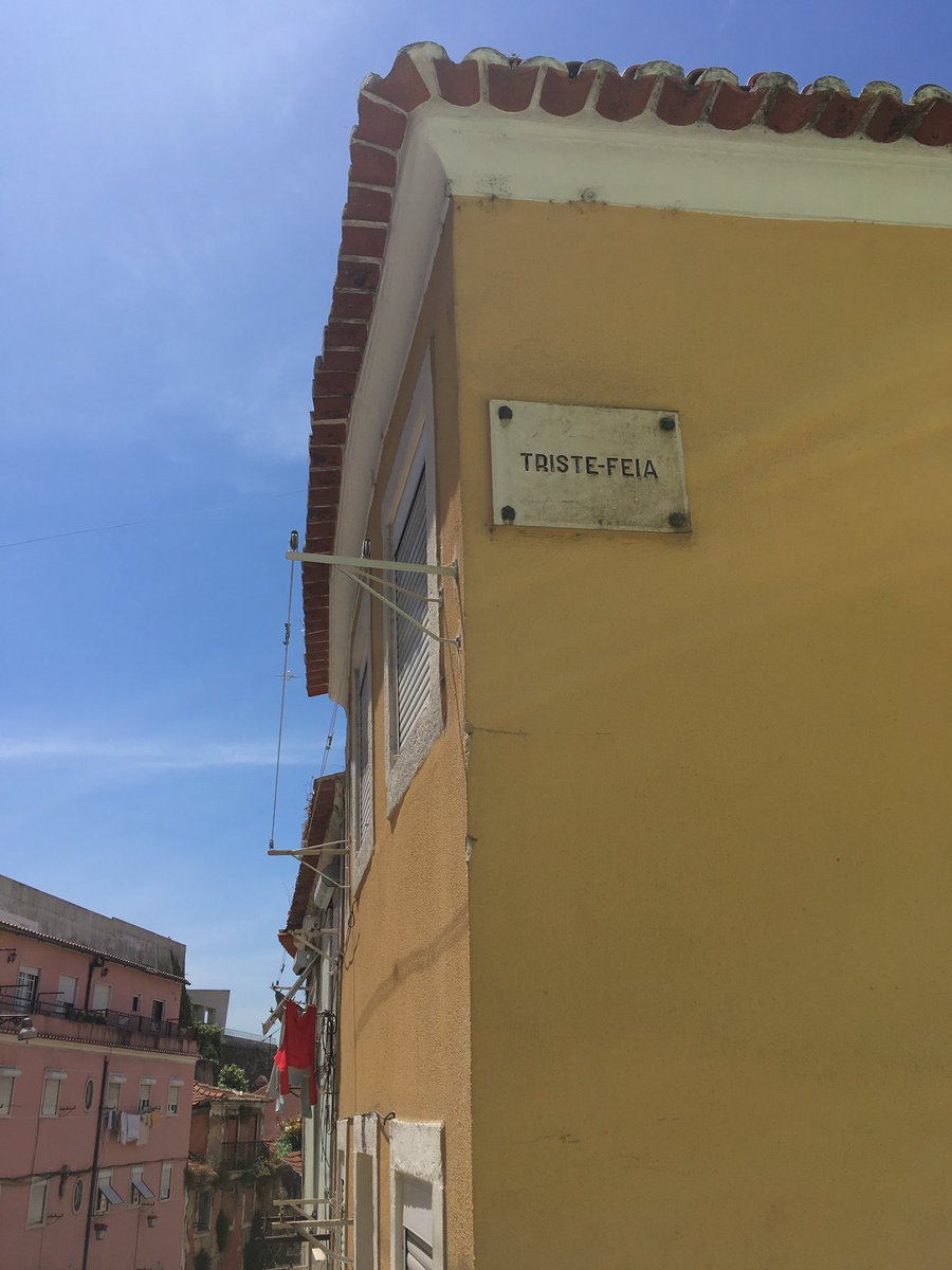 Anne Diesel tweet media