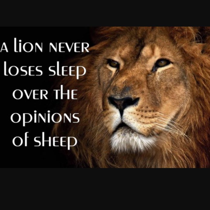 FCLionsFootball's tweet photo. Summer is quickly approaching. Be looking for the summer workout schedule! Mental toughness is when you can find fuel in an empty fuel tank. https://t.co/UTmsWwd793