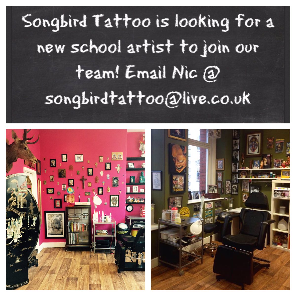 Songbird Tattoo tweet media