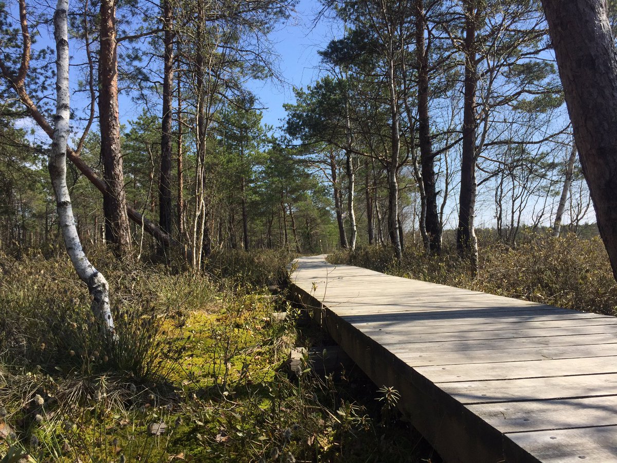 VisitZagare's tweet photo. Pavasaris Žagarėje @WeLoveLithuania @ukinlithuania @VisitZagare https://t.co/xfow4gmfdH