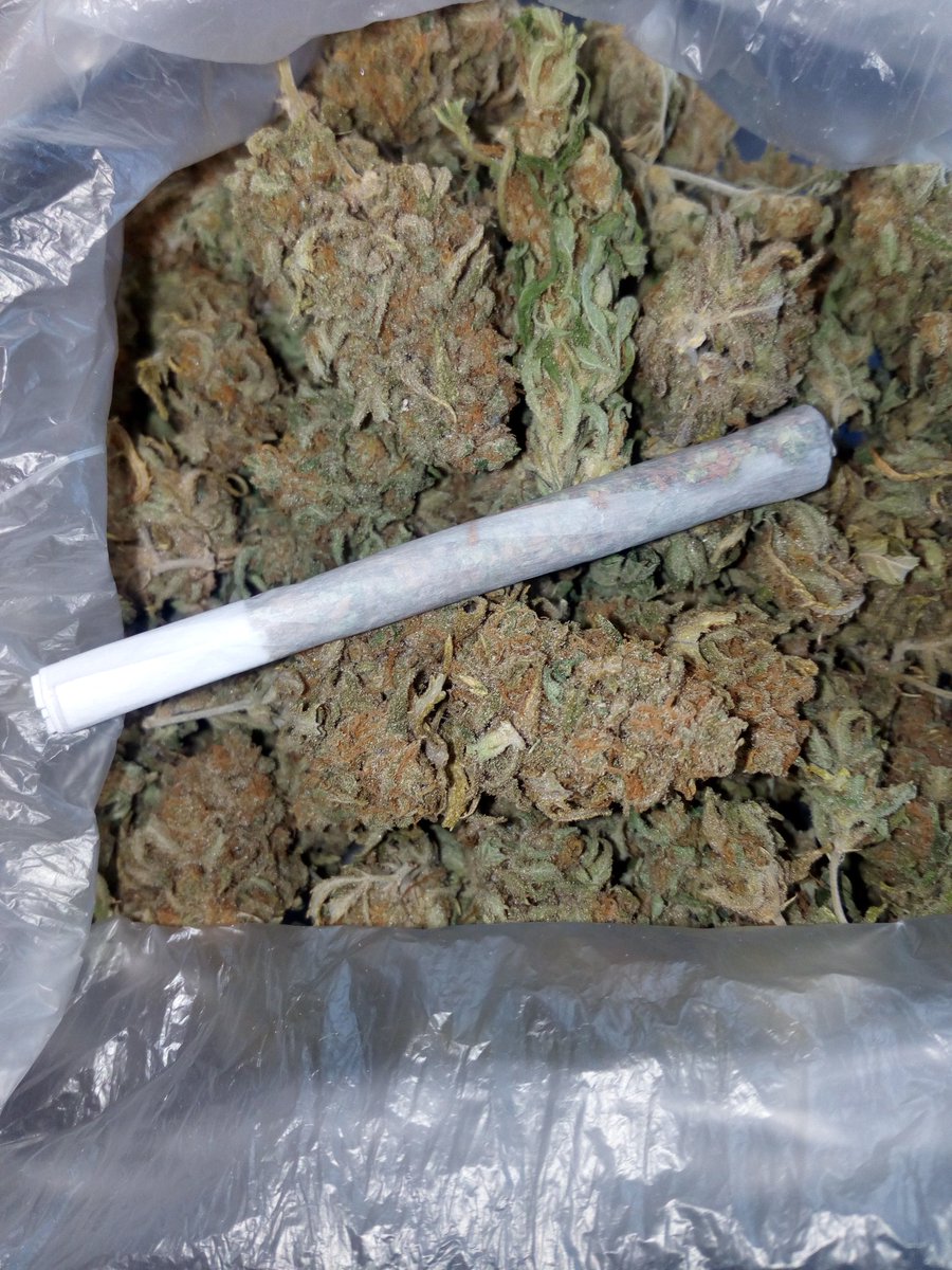 Solo_Weed's tweet photo. ¡Feliz comienzo de semana gente! #Weedmorning #MamaLaJuana https://t.co/R3AW9Iajzs