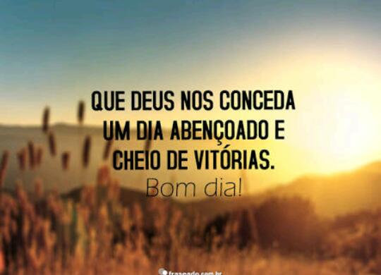 anelydutra's tweet image. 