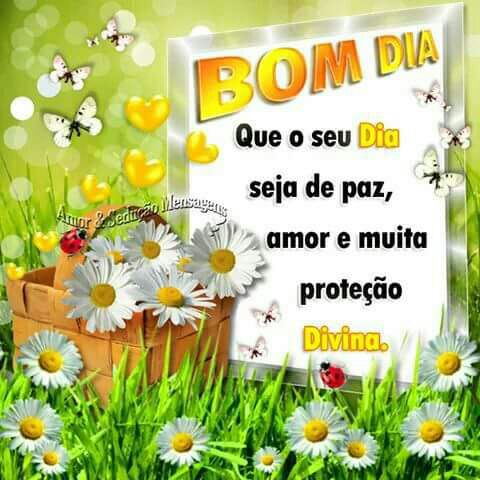 anelydutra's tweet image. 