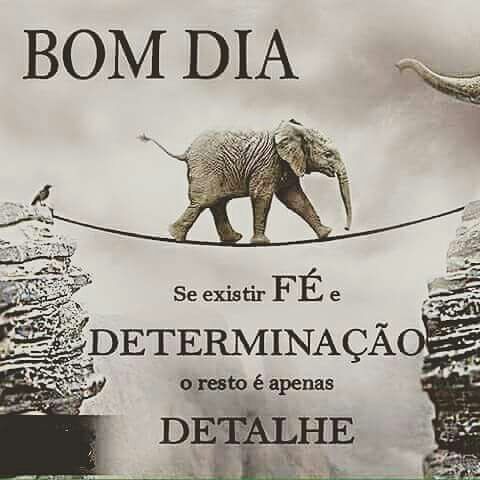 anelydutra's tweet image. 