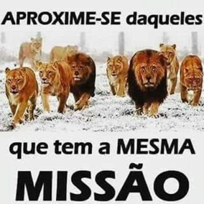 Gui_Agnaldo's tweet photo. https://t.co/Z0Ku7D04ua