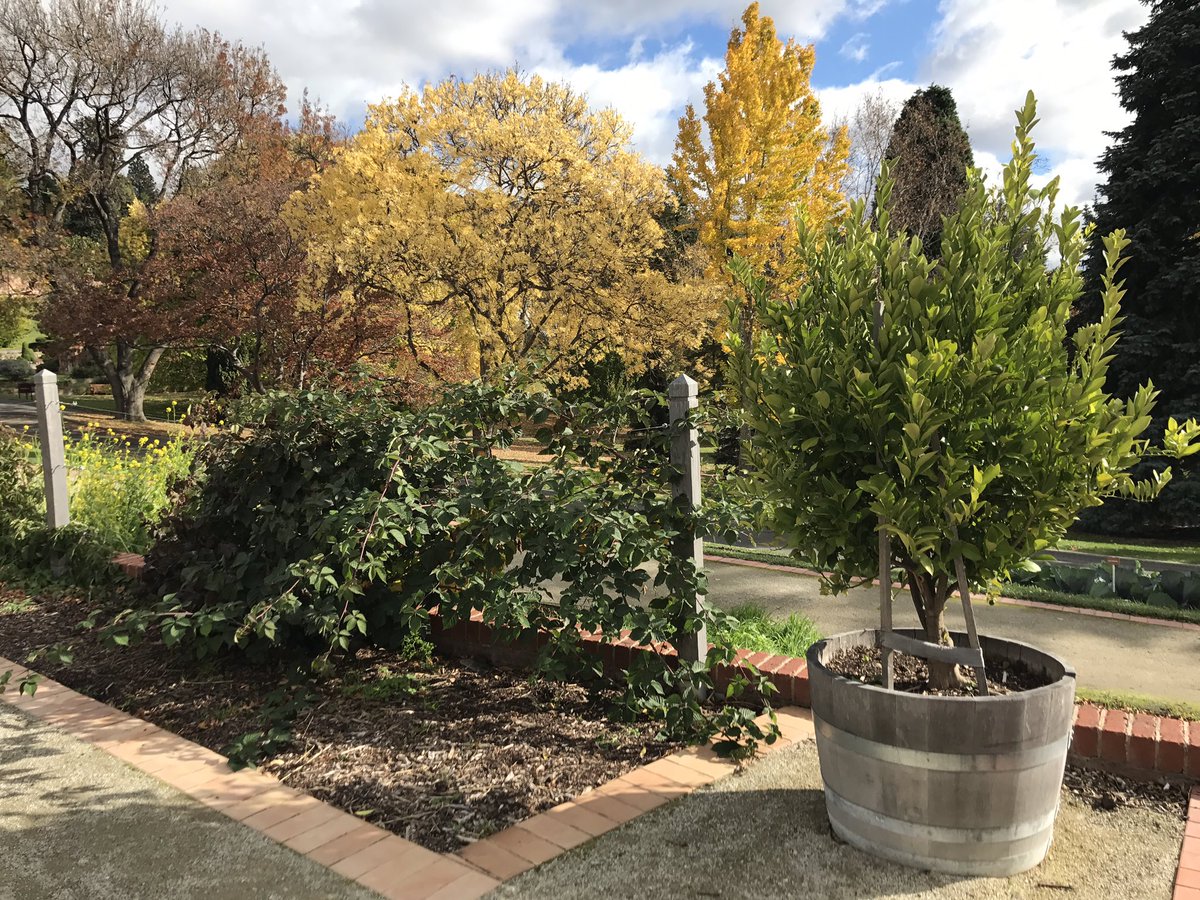 Hannah_webb22's tweet photo. Topped off our trip to Hobart today with a short walk around Cornelian Bay and the botanical gardens https://t.co/WWwNYC5uLt